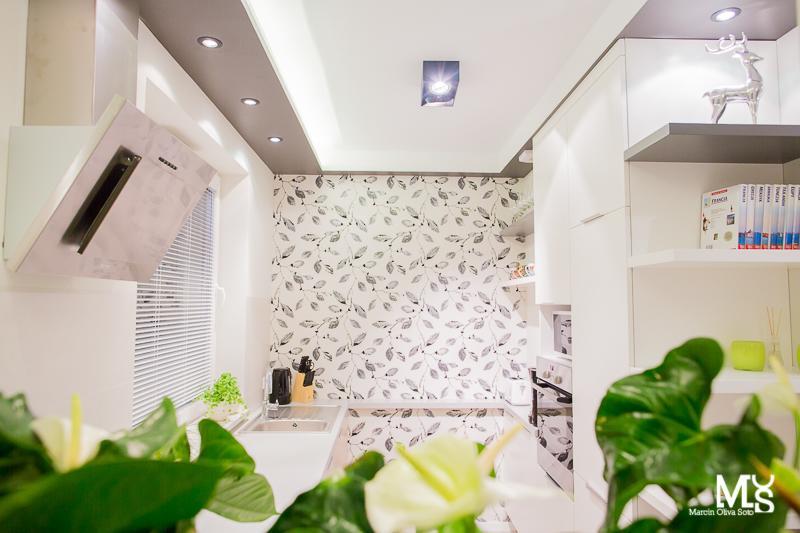 Mojito Apartments - Botanica Вроцлав Номер фото